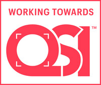 Working Towards QSI